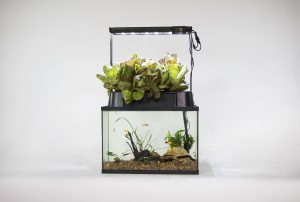 ECO-Cycle Aquaponics Kit - ECOLIFE Conservation