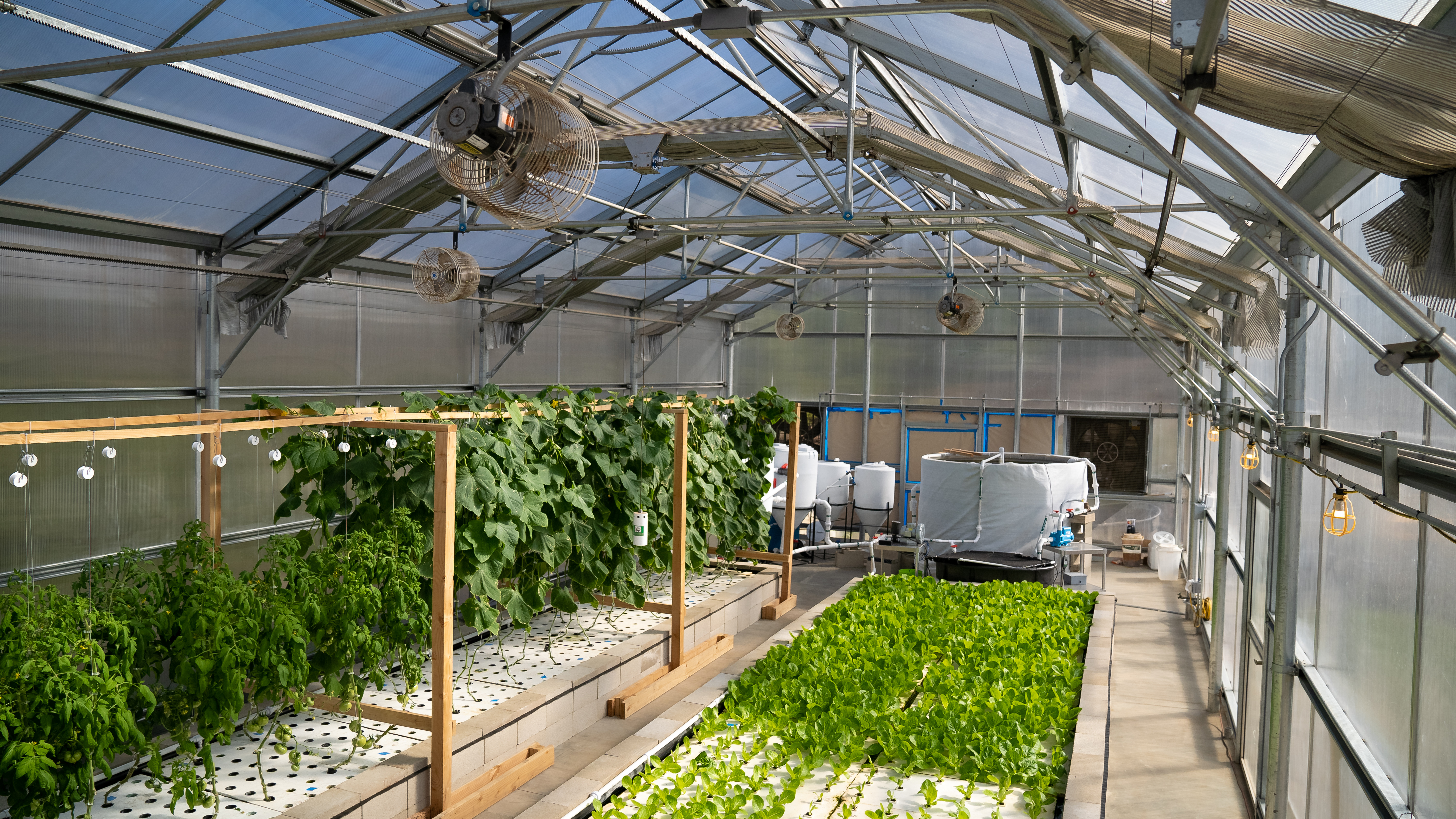 Aquaponics systems for schools How A Zambian Entrepreneur Is Helping Farmers In Her Country And Helping Battle Climate Change